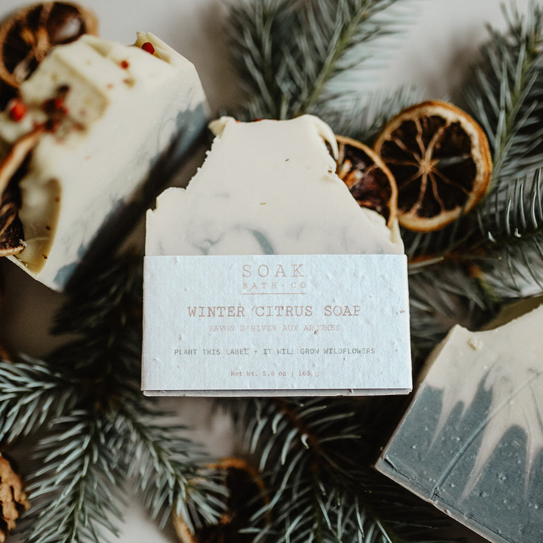 Winter Citrus Soap Bar by SOAK Bath Co Wholesale, Holiday Collection, Christmas Collection