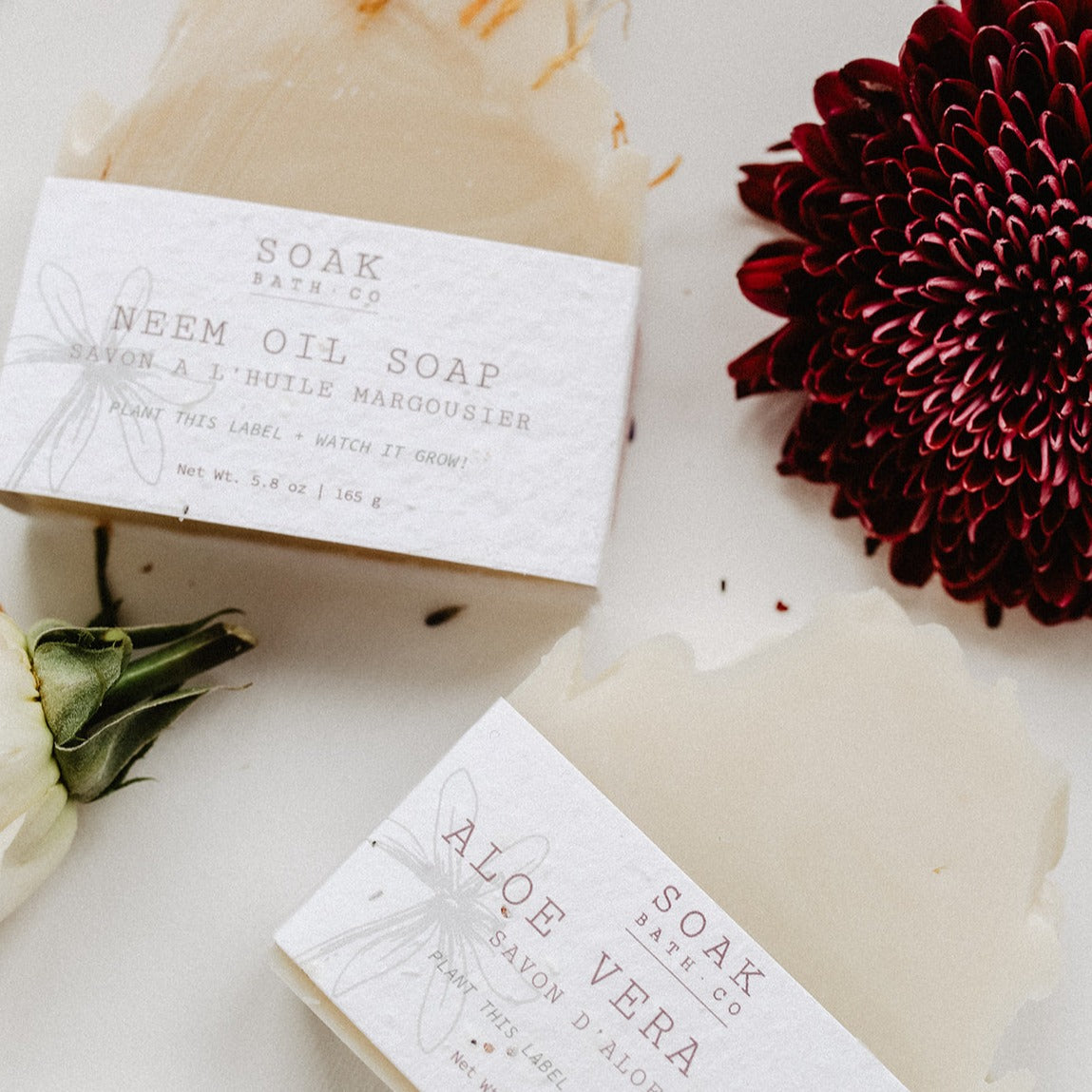 Aloe Vera Soap Bar - Made in Canada
