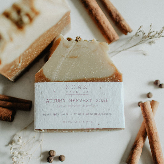 Bar of soap labeled 'Autumn Harvest Soap' with cinnamon sticks and spices on a light background