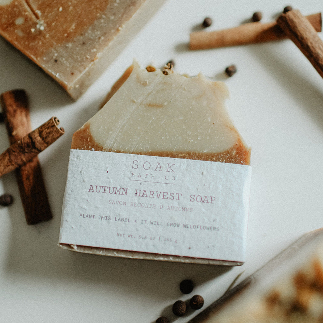Autumn harvest soap bar with cinnamon sticks and spices on a white surface