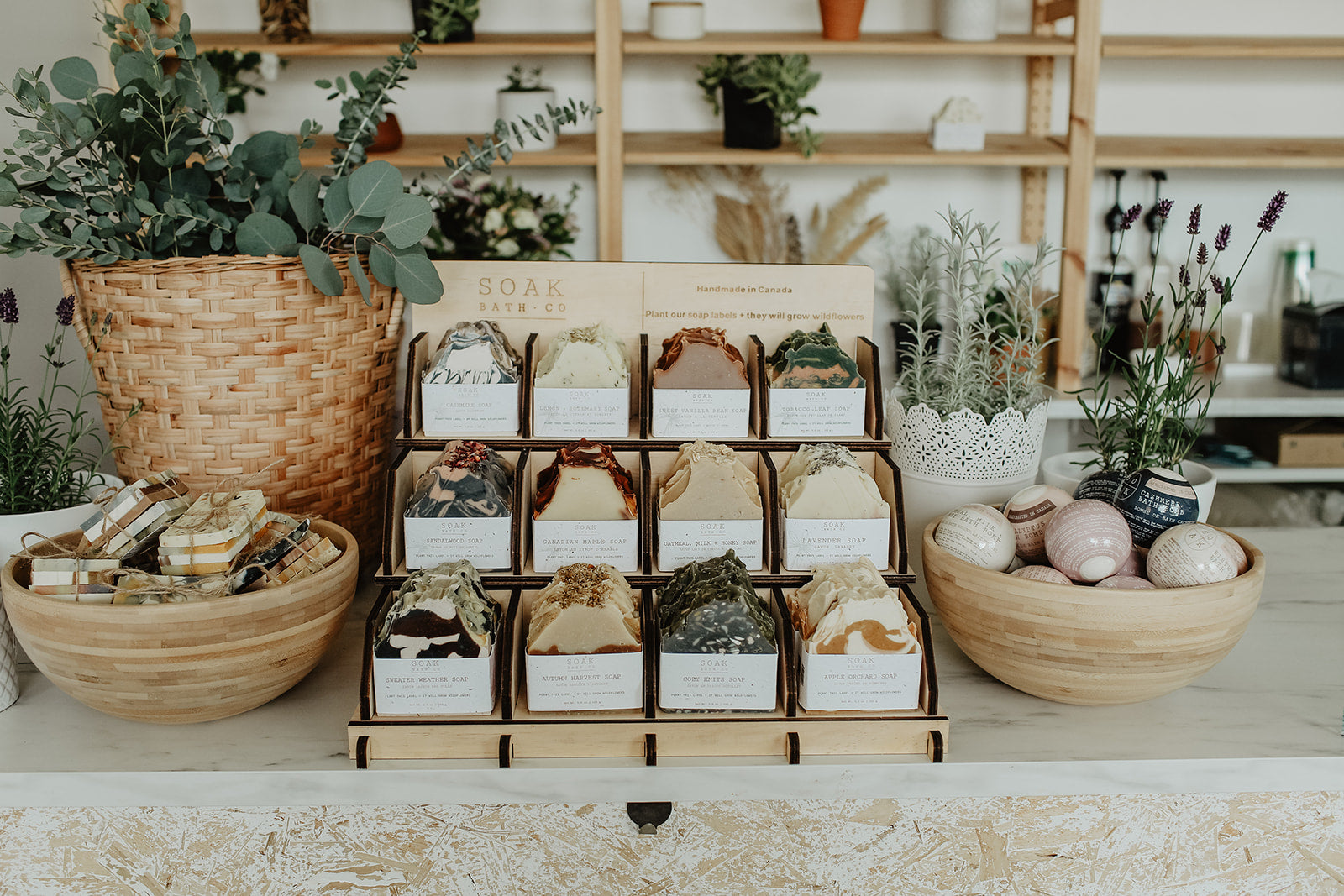 Display of soap bars in a store with plants and shelves in the background