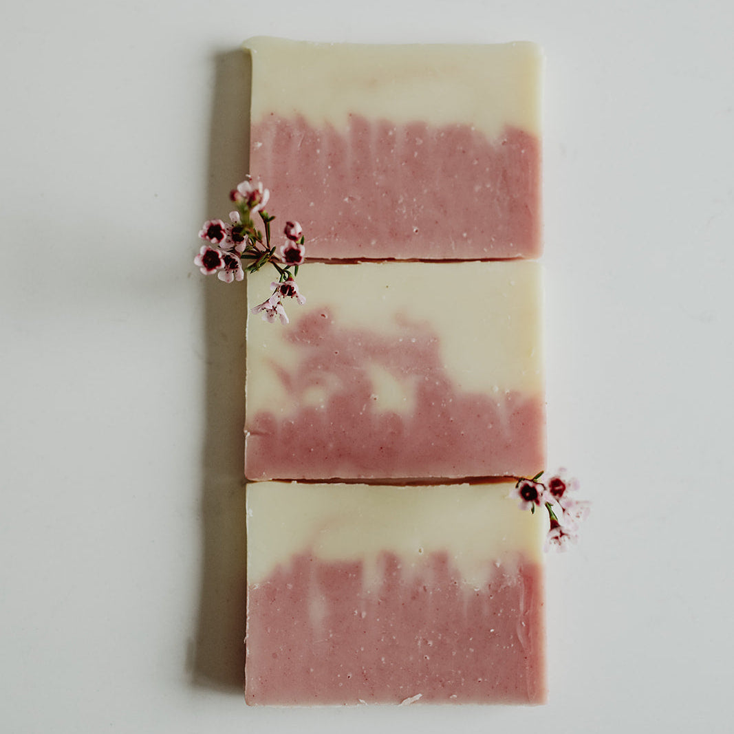 Lavender Soap Sample