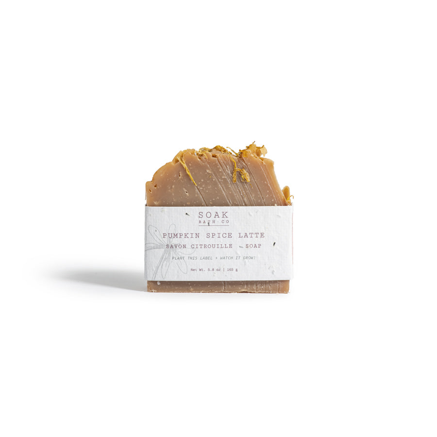 Pumpkin Spice Soap Bar: Fall Collection