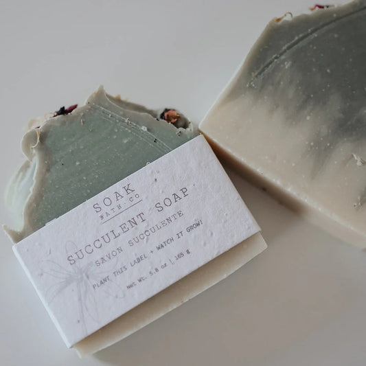 Succulent Soap Bar, Summer Soap Bar Collection